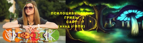 apvp Медвежьегорск