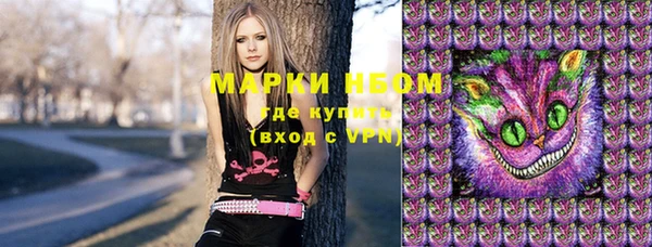 сатива Верея