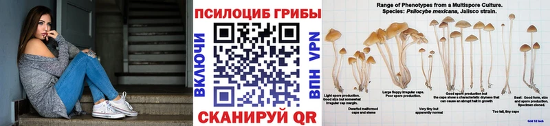 Псилоцибиновые грибы GOLDEN TEACHER  купить наркотики цена  Сорочинск 